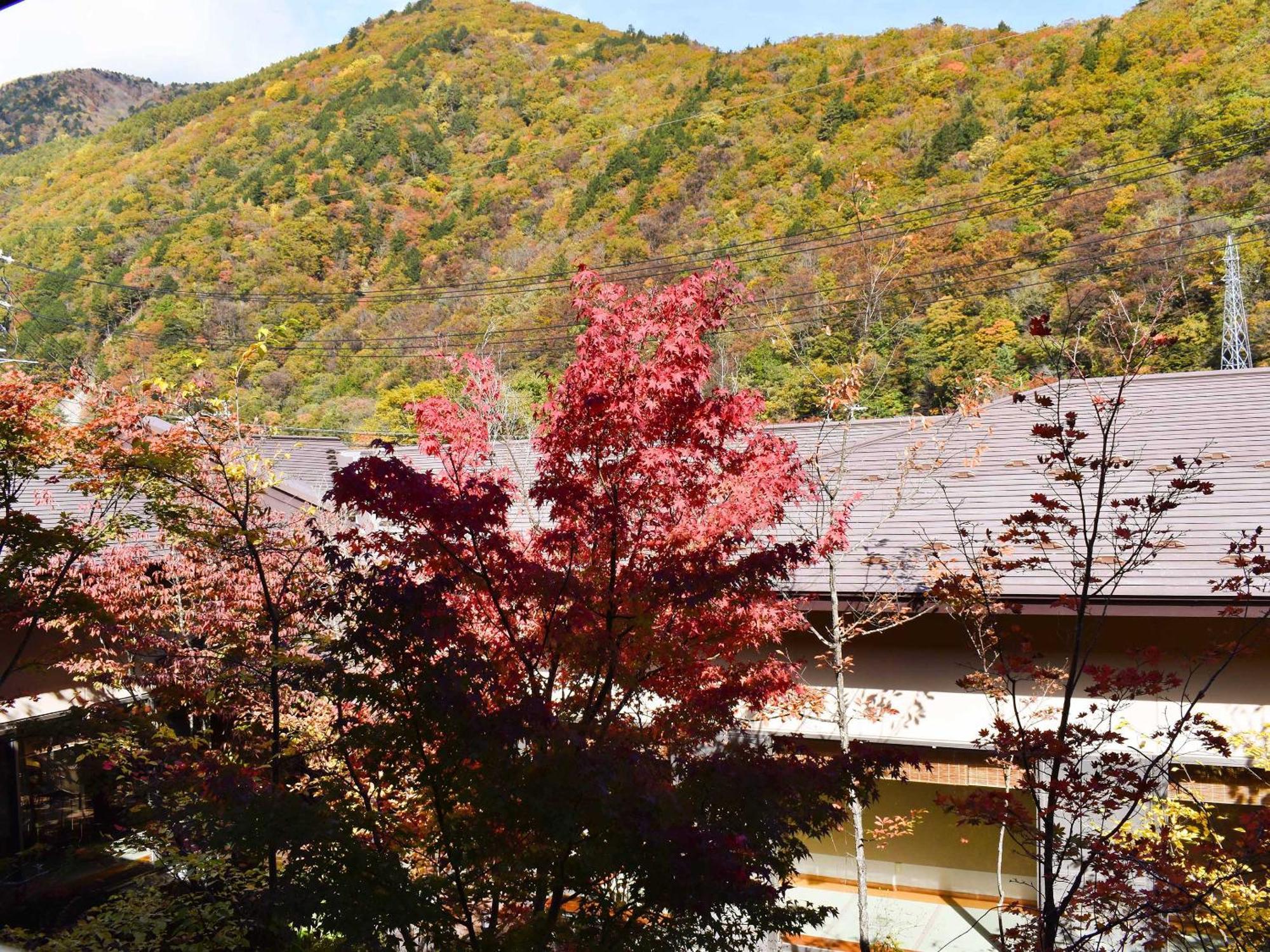 Hotel Keiryuso Siorie à Matsumoto Extérieur photo